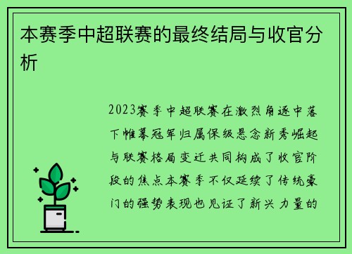 本赛季中超联赛的最终结局与收官分析